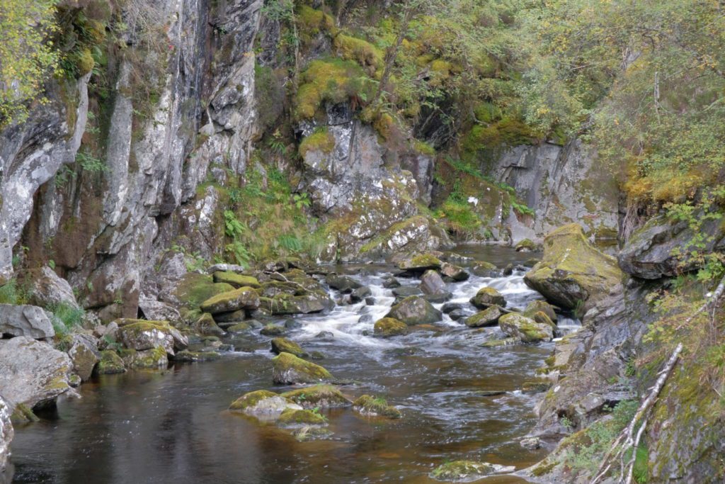 Glen-Affric-2-1024x683 Walk the Coire Loch Trail, Glen Affric