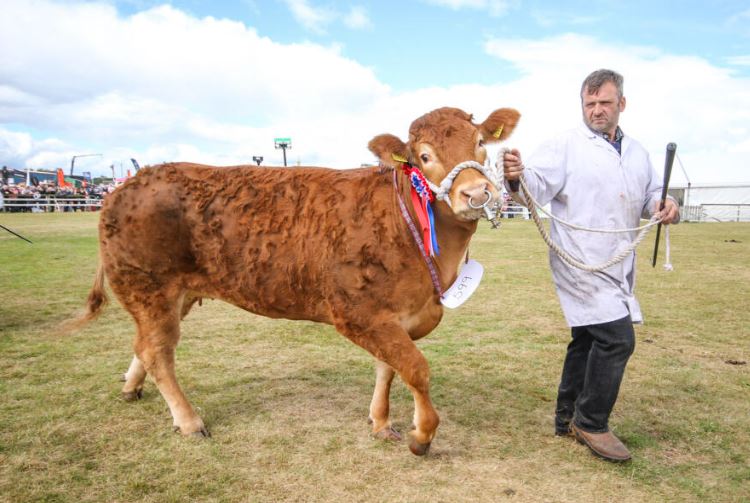 Winning-Cow Loch Ness Adventure Awaits: Your Guide to 2023 Events